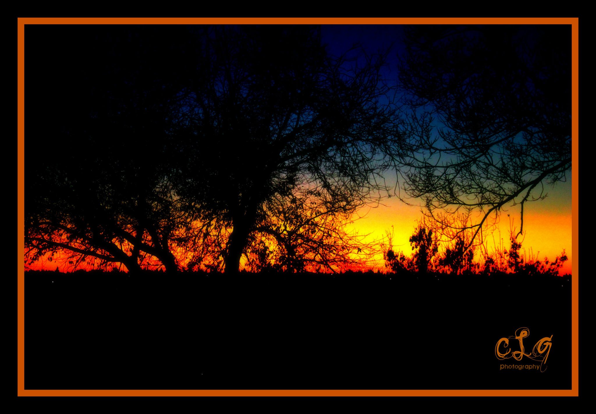 My photography - Sunset through the trees